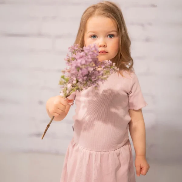 Classic Rib Short Sleeve Dress